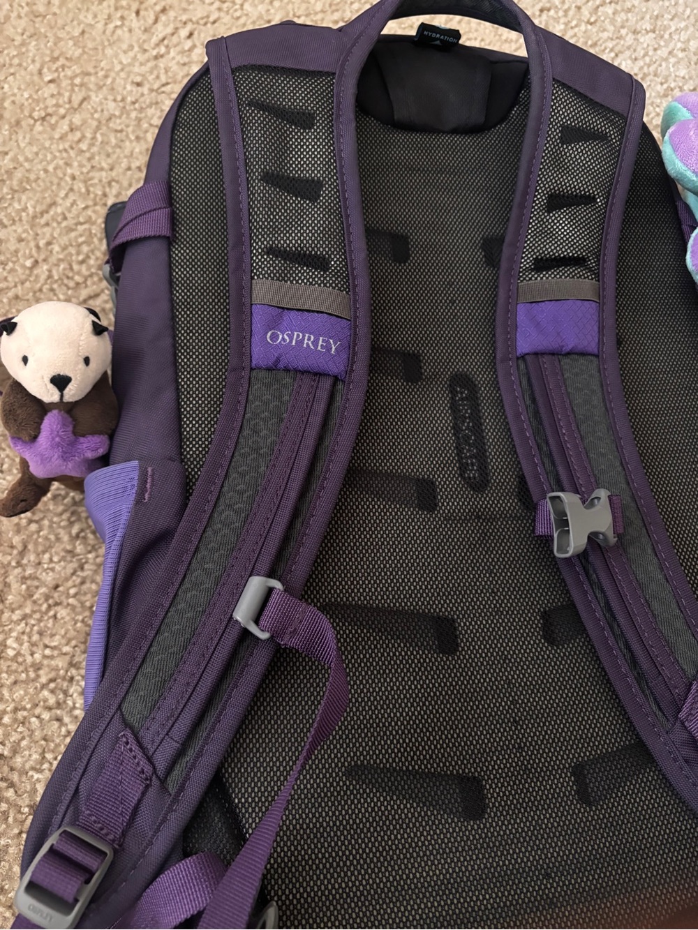 OSPREY Purple Daylite Plus Backpack - Picture 6 of 9